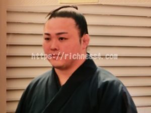 炎鵬まとめ