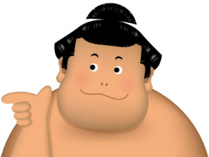 豊山の化粧まわしまとめ