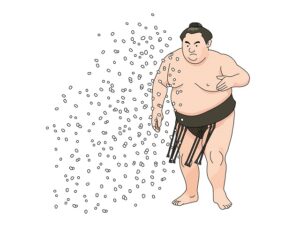 相撲で大量に塩まきする歴代力士まとめ