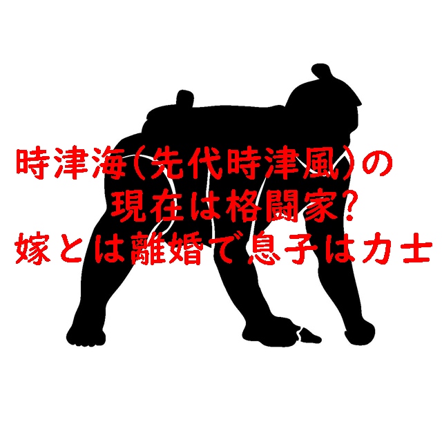 時津海 (先代時津風)の現在は格闘家？嫁とは離婚で息子は力士！