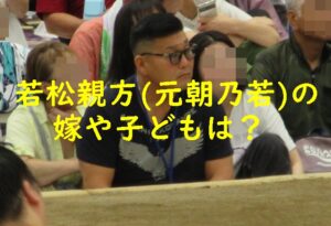 若松親方（元朝乃若）の嫁と子供は？現役時代から現在まとめ