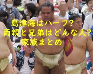 島津海はハーフ？両親と兄弟はどんな人？家族まとめ！