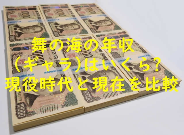 舞の海の年収（ギャラ）はいくら？現役時代と現在を比較！