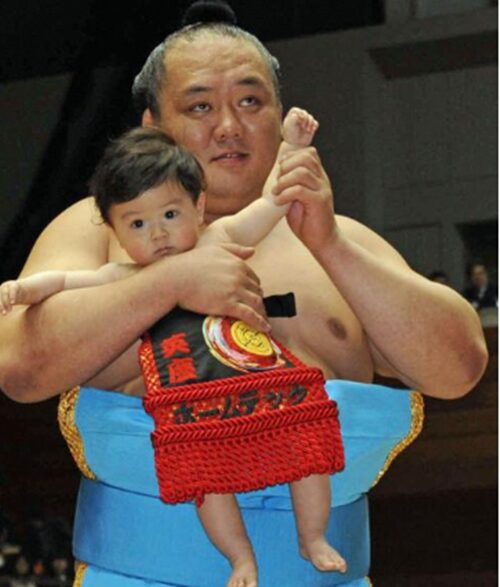 小野川親方（北太樹）の子供