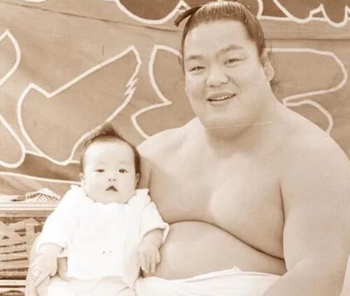 先代琴櫻の娘(鎌谷真千子)