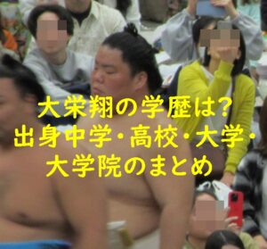 大栄翔の学歴は？出身中学・高校・大学・大学院のまとめ！