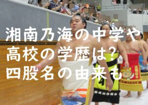 湘南乃海の中学や高校の学歴は？四股名の由来も！