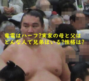 竜電はハーフ?実家の母と父はどんな人で兄弟はいる?性格は?