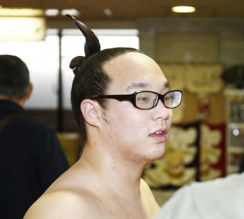 若佐竹