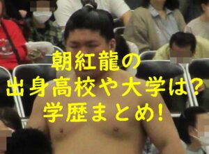 朝紅龍の出身高校や大学は？学歴まとめ！
