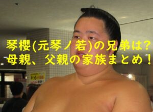 琴櫻の兄弟は？母親、父親の家族まとめ！