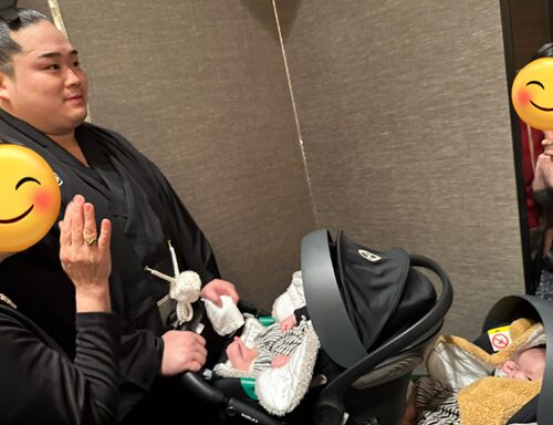 錦富士の双子の子供