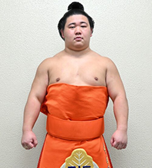 若碇