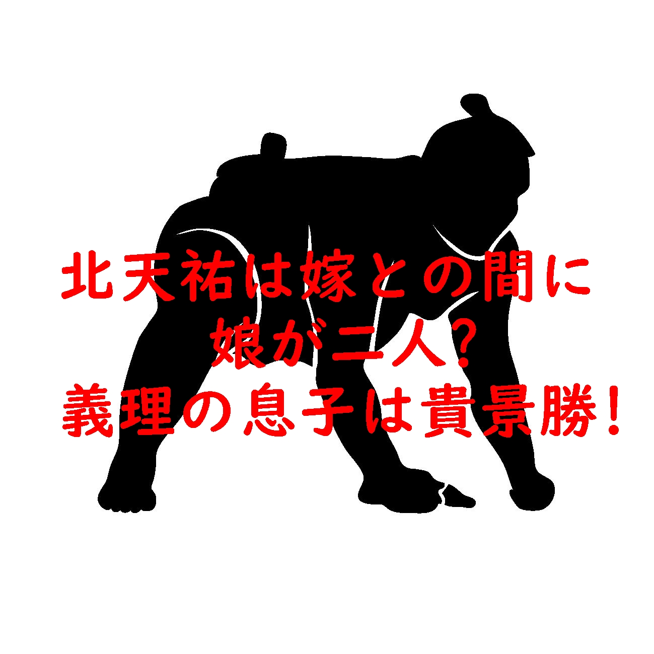 北天祐は嫁との間に娘が二人?義理の息子は貴景勝!