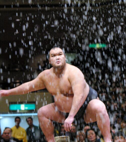 北桜