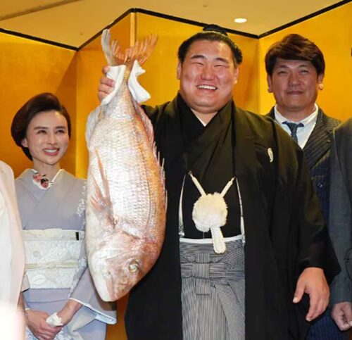 立浪親方の嫁