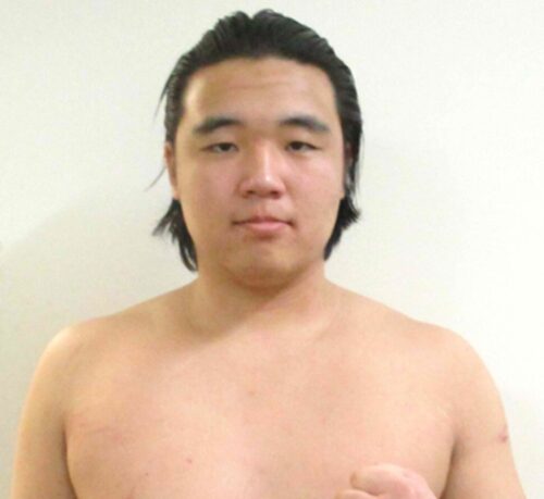 豊昇龍のいとこ・天狼星
