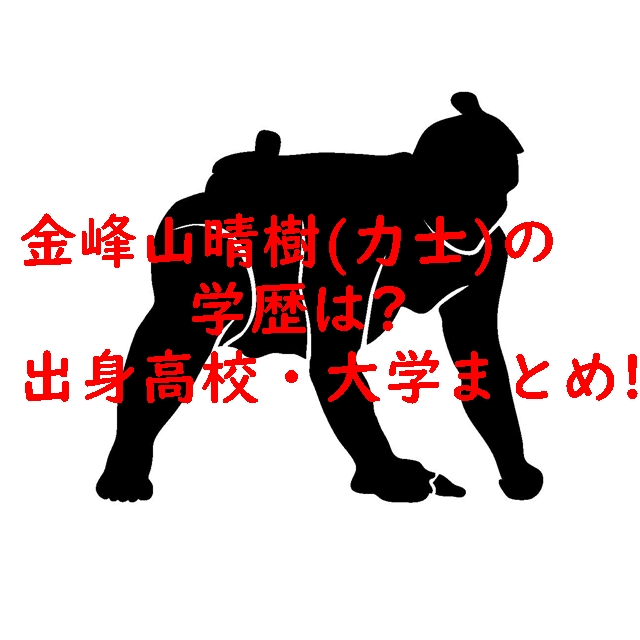 金峰山晴樹（力士）の学歴は？出身高校・大学まとめ！