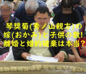 琴奨菊(秀ノ山親方)の嫁(おかみ)と子供の数!離婚と婚約破棄は本当?