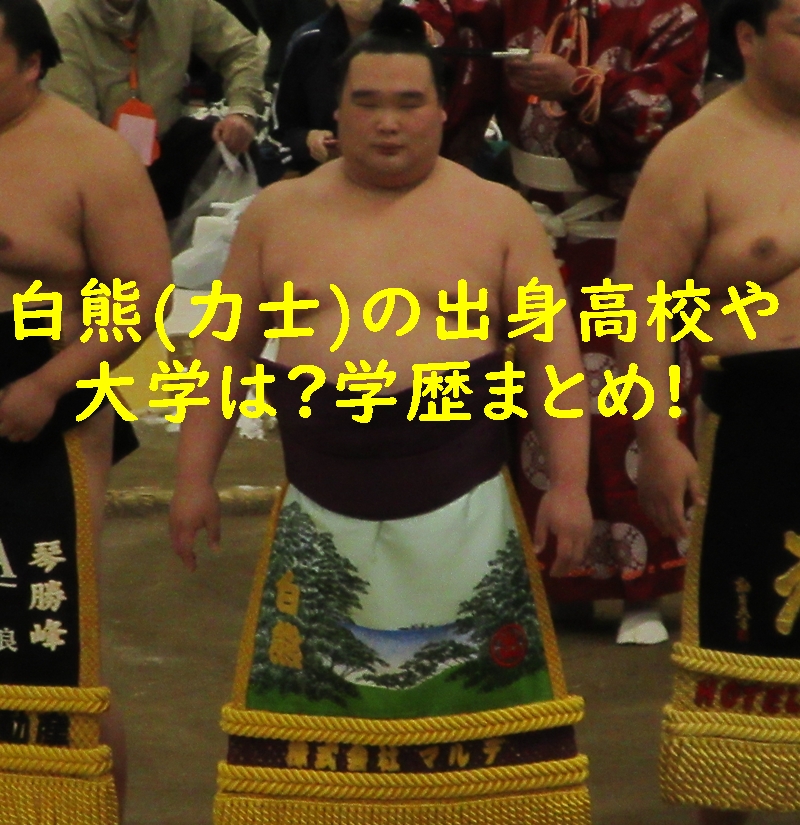 白熊(力士)の出身高校や大学は?学歴まとめ!