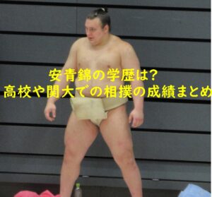 安青錦の学歴は？高校や関西大学での相撲の成績まとめ！