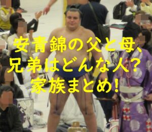 安青錦の両親(父と母)、兄弟はどんな人?家族まとめ!