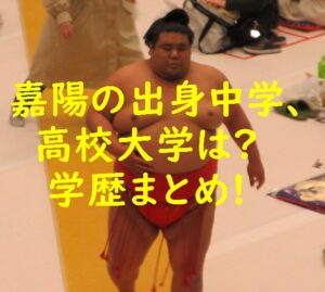 嘉陽の出身中学、高校、大学は?学歴まとめ!