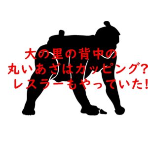 大の里の背中の丸いあざはカッピング?レスラーもやっていた!