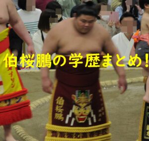 伯桜鵬の学歴(出身小学校・中学校・高校)まとめ！