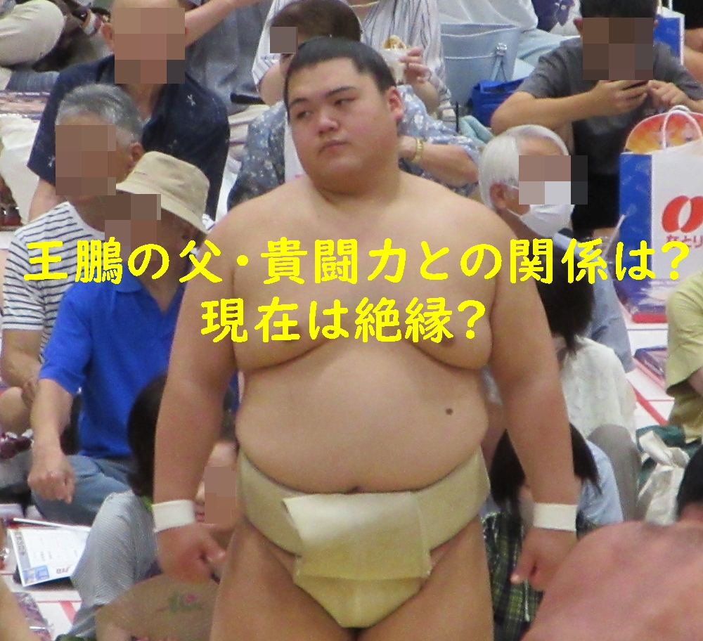 王鵬の父・貴闘力との関係は?現在は絶縁?