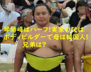 琴勝峰はハーフ!実家の父はボディビルダーで母は韓国人!兄弟は?