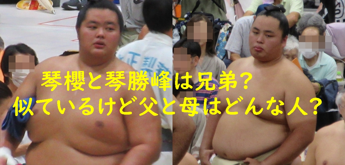 琴櫻と琴勝峰は兄弟?似ているけど父と母はどんな人?