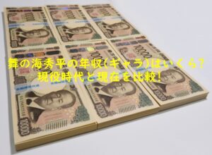 舞の海秀平の年収(ギャラ)はいくら？現役時代と現在を比較!