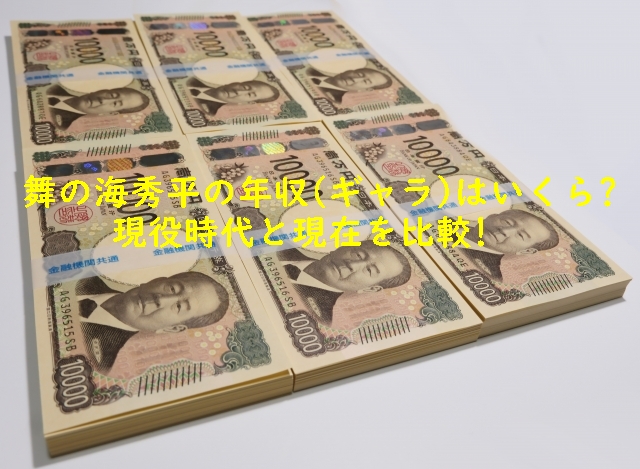 舞の海秀平の年収(ギャラ)はいくら?現役時代と現在を比較!