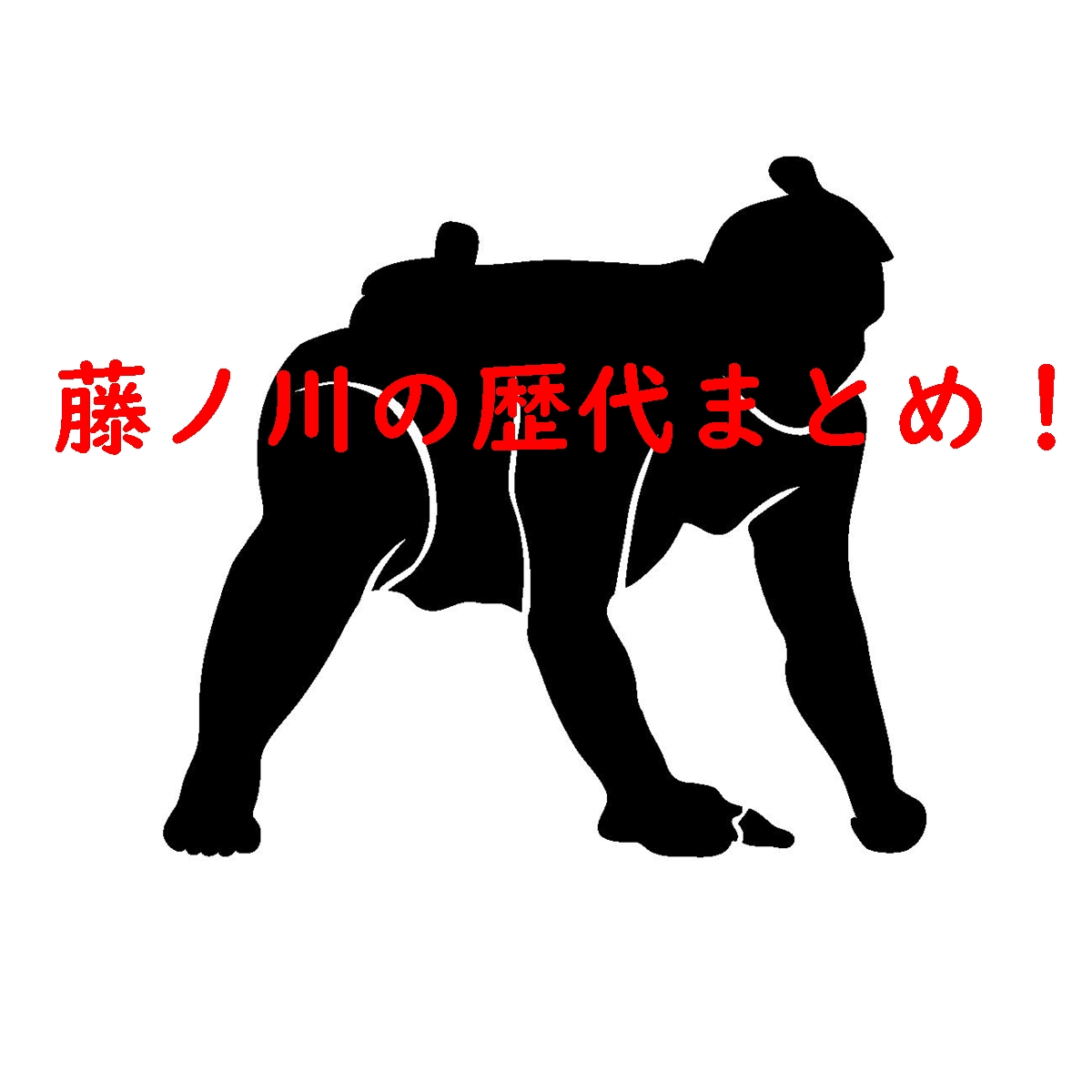 藤ノ川の歴代まとめ!現在は元若碇!