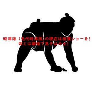 時津海 (先代時津風)の現在は相撲ショーを!嫁とは離婚で息子は力士!