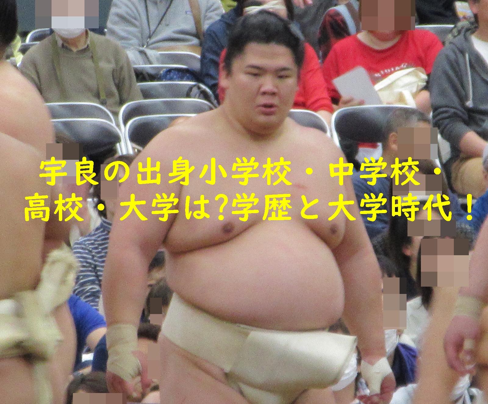 宇良の出身小学校・中学校・高校・大学は?学歴と大学時代!