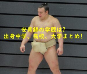 安青錦の学歴は？出身中学、高校、大学まとめ！