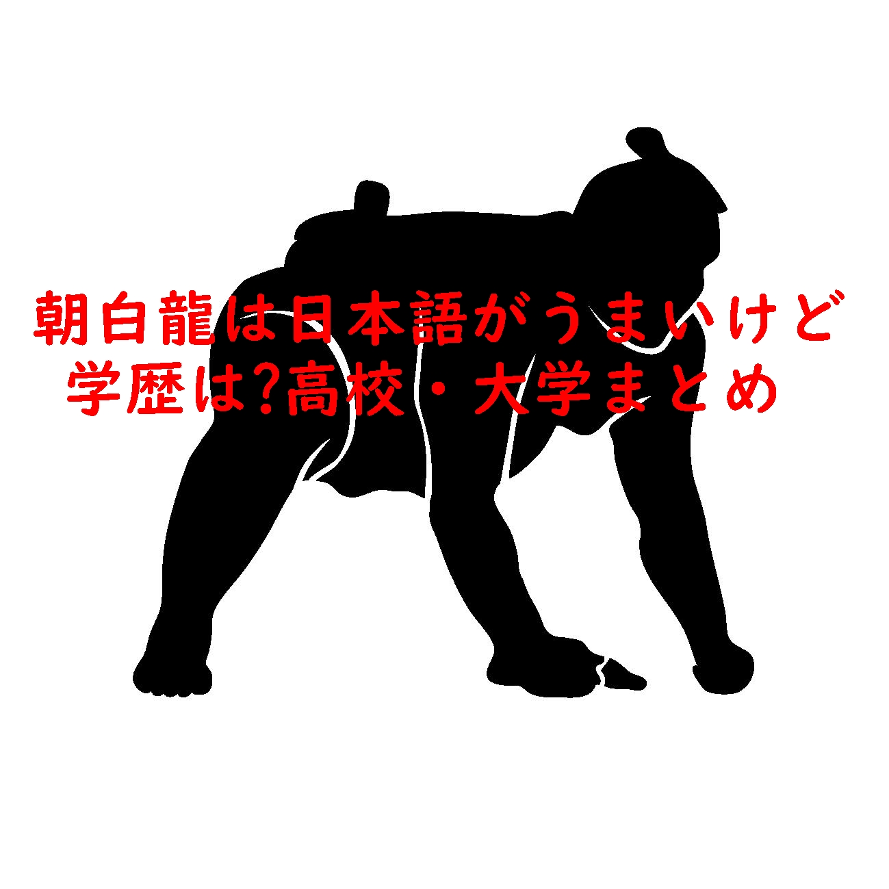 朝白龍は日本語がうまいけど学歴は?高校・大学まとめ!