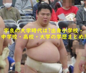 宇良の大学時代は?出身小学校・中学校・高校・大学の学歴まとめ!