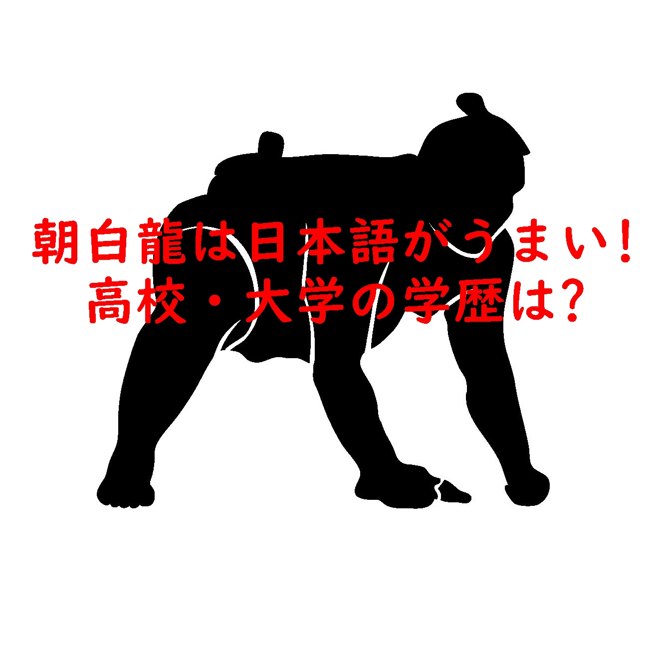 朝白龍は日本語がうまい!高校・大学の学歴は?