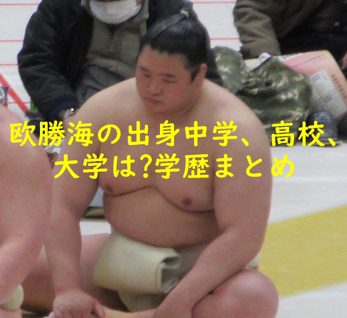 欧勝海の出身中学、高校、大学は?学歴まとめ!